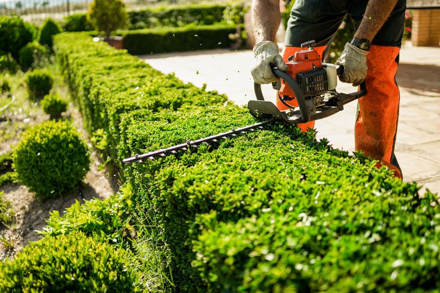Gartenpflege Stuttgart